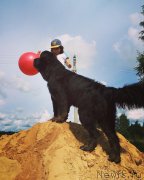 Превью фото № 228688