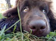 Превью фото № 228691