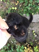 Превью фото № 228719