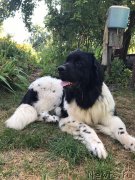 Превью фото № 228727