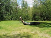 Превью фото № 228738