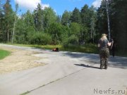 Превью фото № 228739