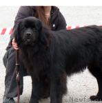 Превью фото № 22874