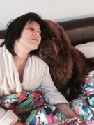 Превью фото № 228752