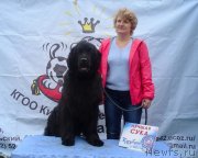 Превью фото № 228781