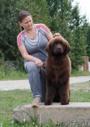 Превью фото № 228798