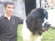 Превью фото № 228803