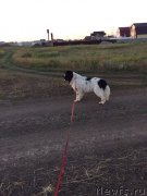 Превью фото № 228804