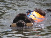 Превью фото № 228816