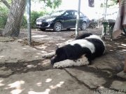 Превью фото № 228851