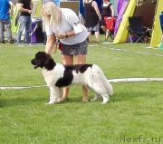 Превью фото № 228868