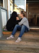 Превью фото № 228869