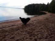 Превью фото № 228872