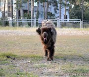 Превью фото № 228936