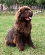 Превью фото № 228939