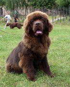 Превью фото № 228940