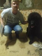 Превью фото № 228958