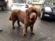 Превью фото № 228959