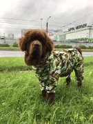 Превью фото № 228960