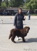 Превью фото № 228961