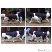 Превью фото № 228966