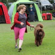 Превью фото № 229030