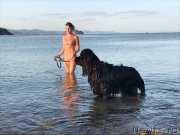 Превью фото № 229036