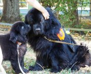 Превью фото № 229052