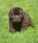 Превью фото № 229163