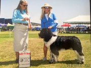 Превью фото № 229189