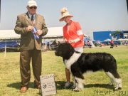 Превью фото № 229190