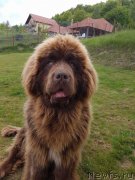 Превью фото № 229249