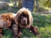 Превью фото № 229250