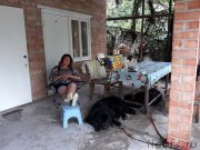 Превью фото № 229254