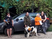 Превью фото № 229263