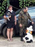 Превью фото № 229266