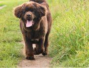 Превью фото № 229275