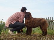 Превью фото № 229276