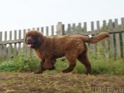 Превью фото № 229278