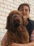 Превью фото № 229284