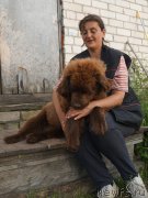 Превью фото № 229285