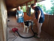 Превью фото № 229293