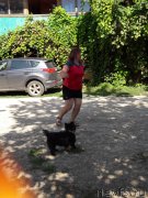 Превью фото № 229359