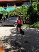 Превью фото № 229360