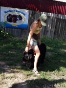 Превью фото № 229365