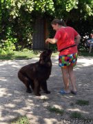 Превью фото № 229372