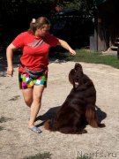 Превью фото № 229374