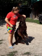 Превью фото № 229375