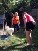 Превью фото № 229398