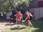 Превью фото № 229401